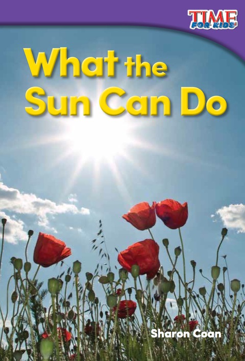 Cover image for book What the Sun Can Do
