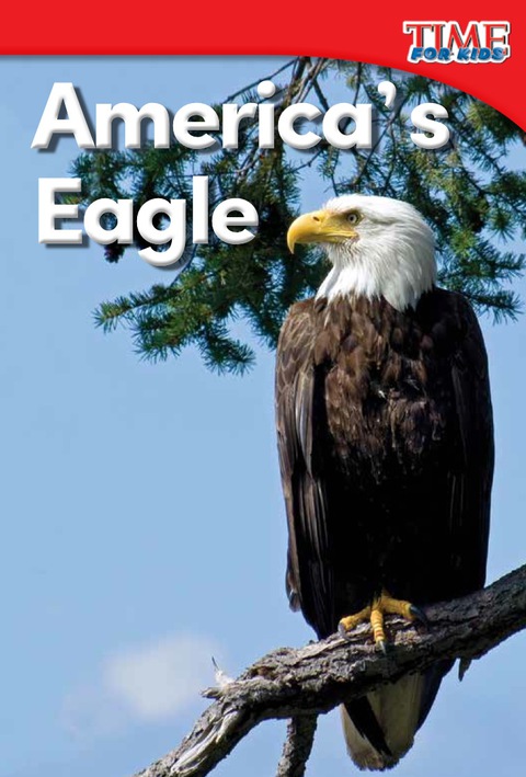Cover image for book America's Eagle