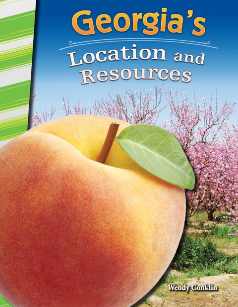 Cover image for book Georgia's Location and Resources