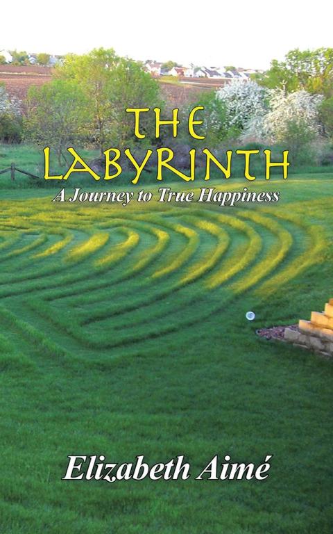 Cover image for book The Labyrinth