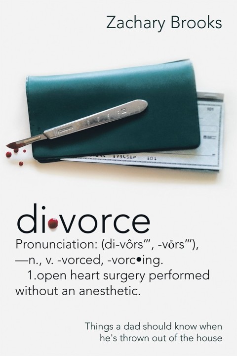 Cover image for book Divorce: Defined