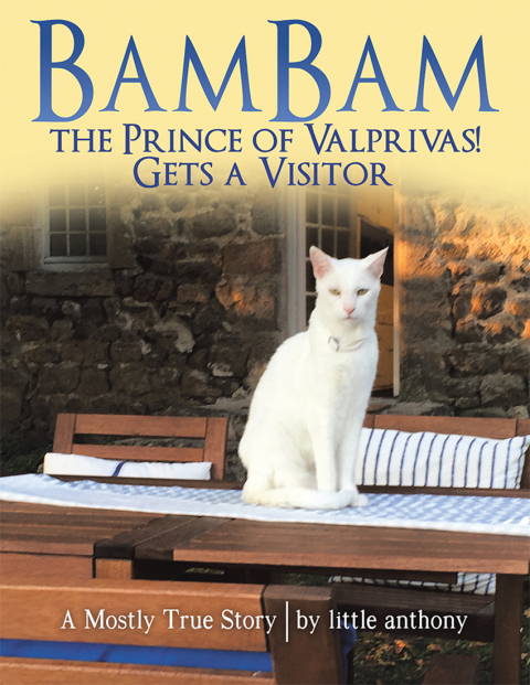 Cover image for book BamBam the Prince of Valprivas! Gets a Visitor