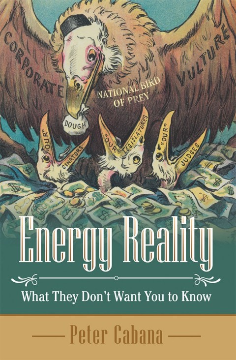 Cover image for book Energy Reality