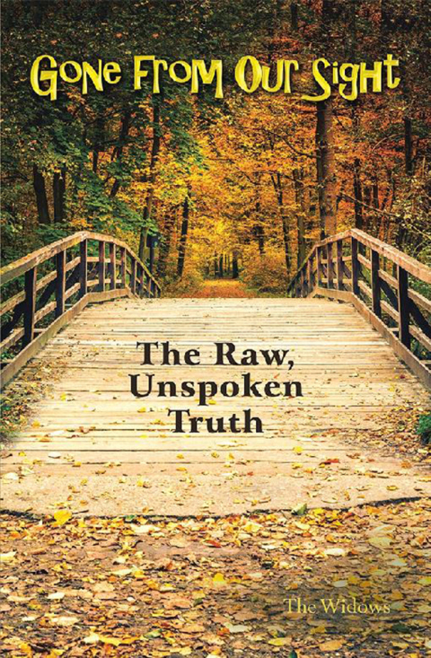 Cover image for book Gone from Our Sight