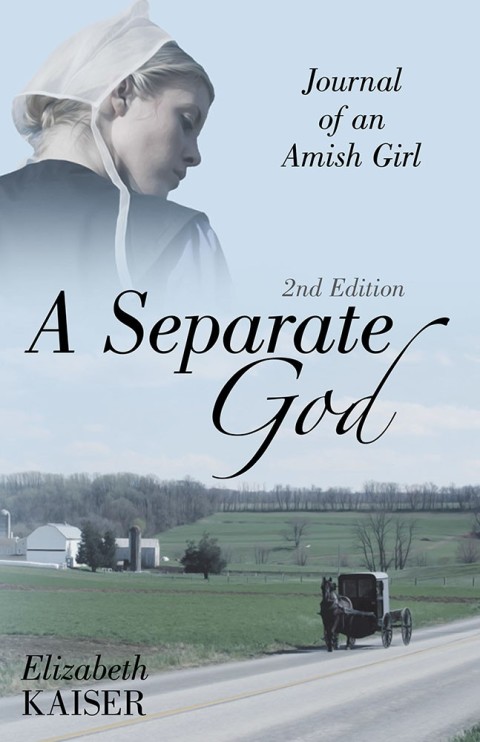 Cover image for book A Separate God