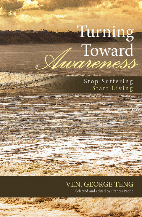 Cover image for book Turning Toward Awareness