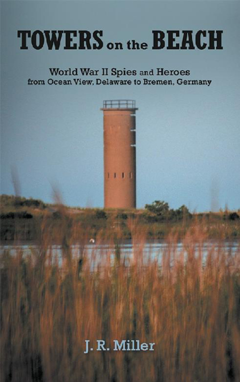Cover image for book Towers on the Beach