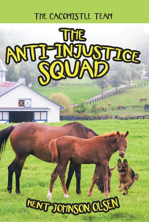 Cover image for book The Anti-Injustice Squad