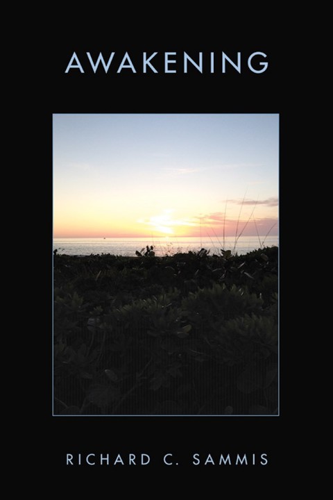 Cover image for book Awakening