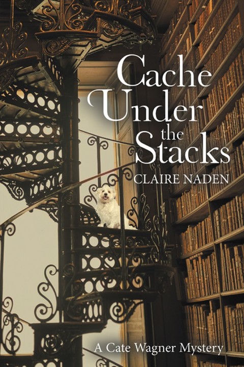 Cover image for book Cache Under the Stacks