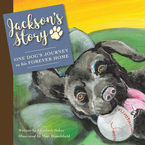 Cover image for book Jackson’S Story