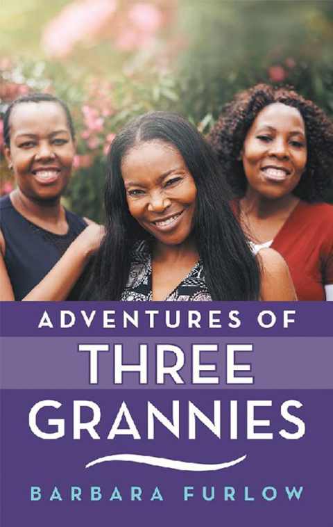 Cover image for book Adventures of Three Grannies