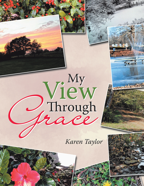 Cover image for book My View Through Grace