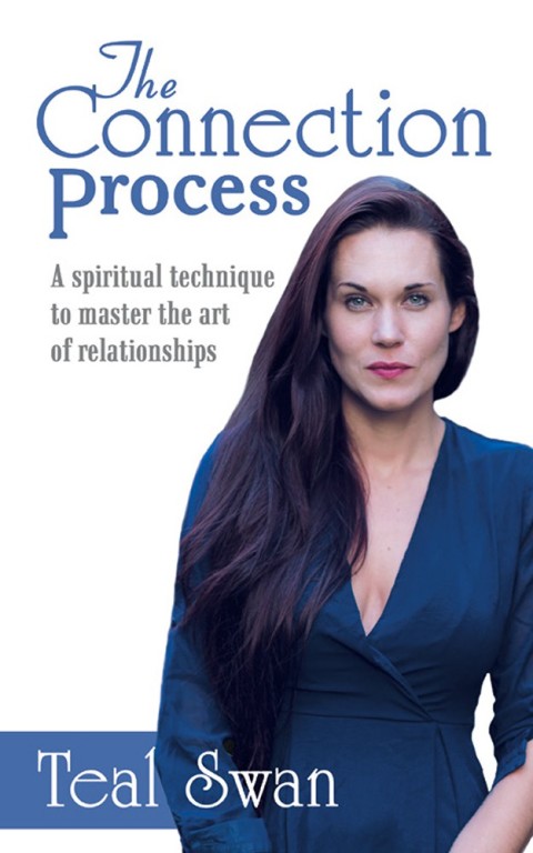 Cover image for book The Connection Process