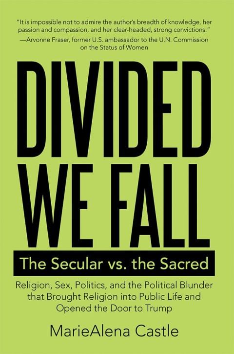 Cover image for book Divided We Fall