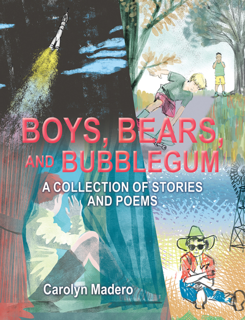 Cover image for book Boys, Bears, and Bubblegum