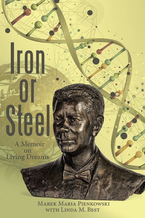 Cover image for book Iron or Steel