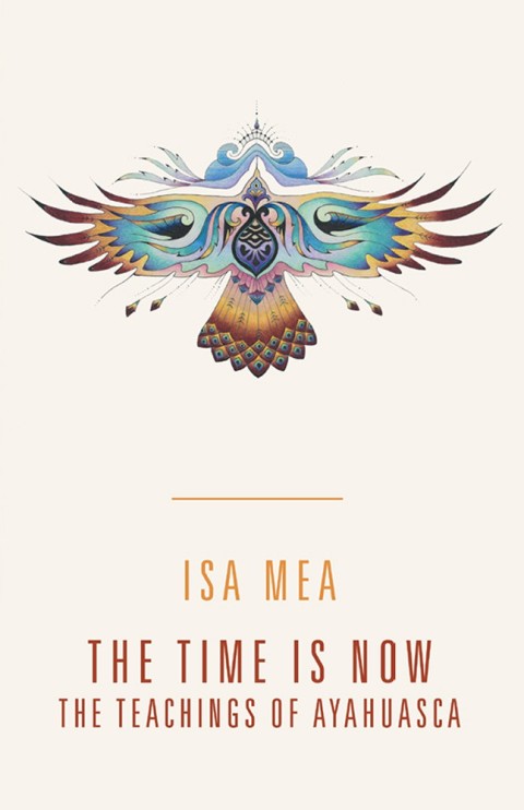 Cover image for book The Time Is Now