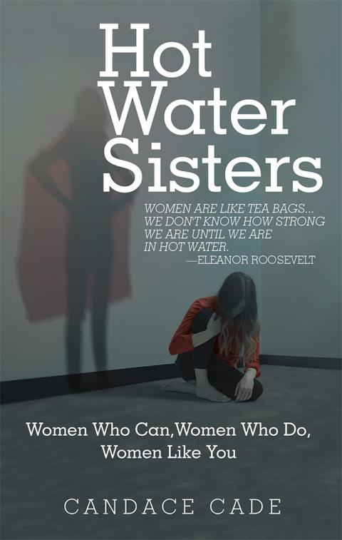 Cover image for book Hot Water Sisters