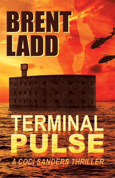 Cover image for book Terminal Pulse