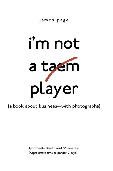 Cover image for book I’M Not a Taem Player