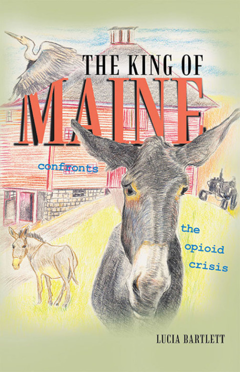 Cover image for book The King of Maine