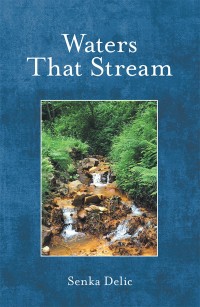 Cover image: Waters That Stream 9781480865976