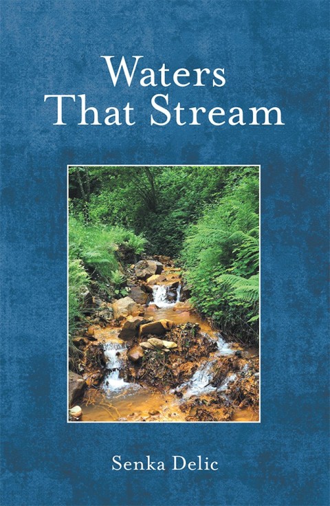 Cover image for book Waters That Stream