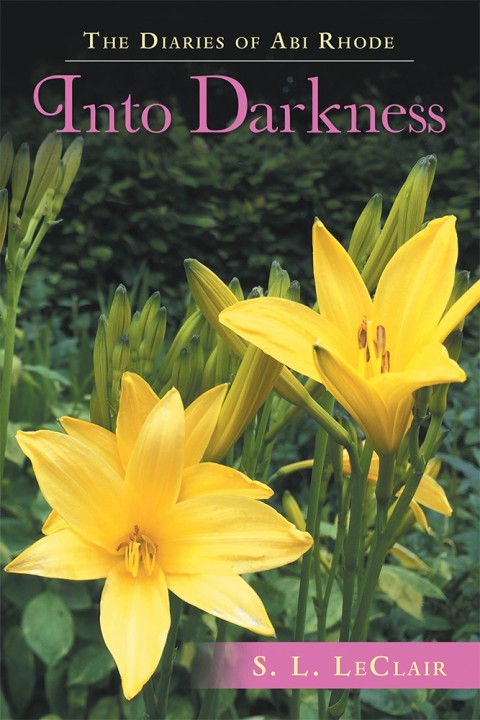 Cover image for book The Diaries of Abi Rhode