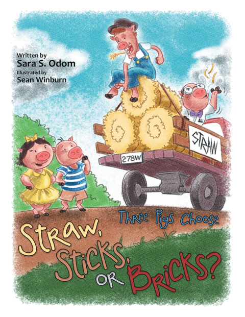 Cover image for book Straw, Sticks, or Bricks?