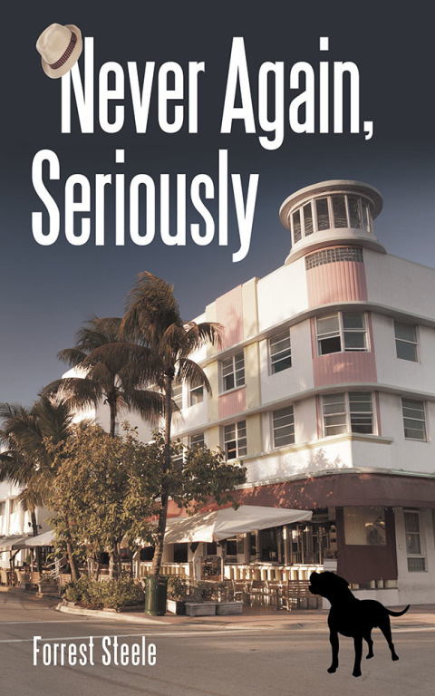 Cover image for book Never Again, Seriously