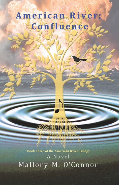 Cover image for book American River: Confluence