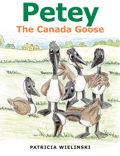 Cover image for book Petey