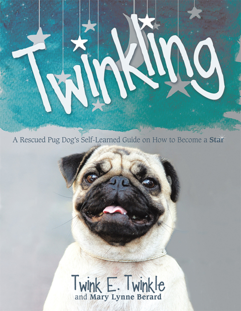 Cover image for book Twinkling