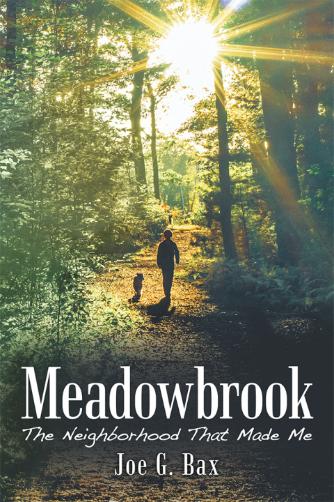 Cover image for book Meadowbrook