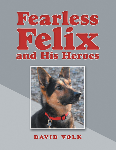 Cover image for book Fearless Felix and His Heroes