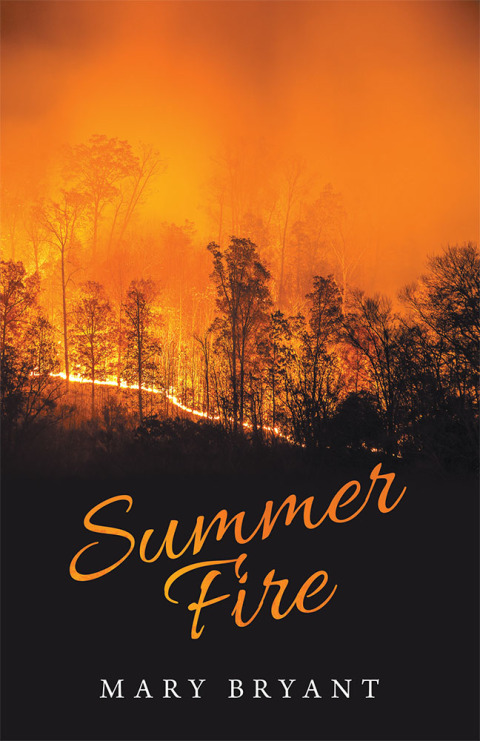 Cover image for book Summer Fire