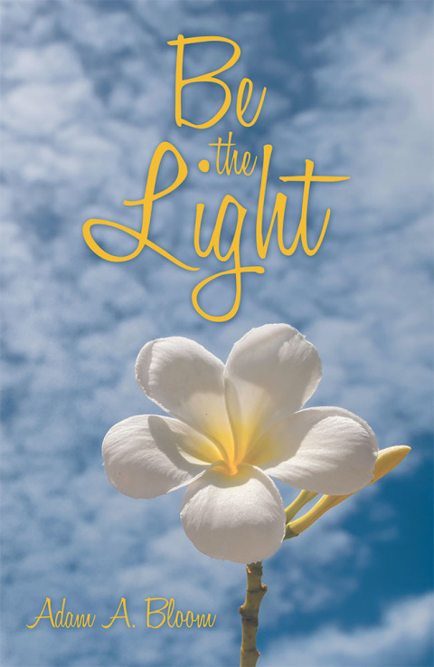 Cover image for book Be the Light