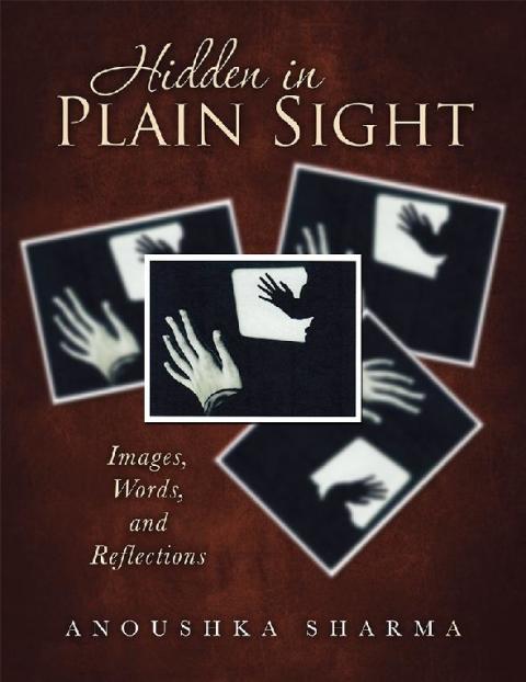 Cover image for book Hidden in Plain Sight