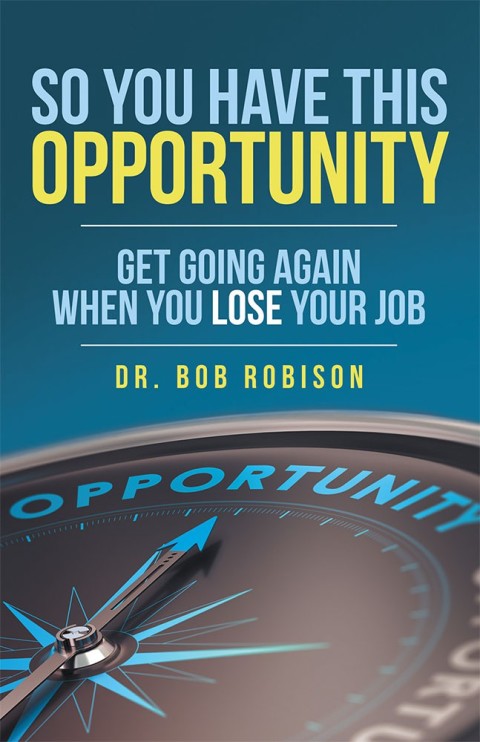 Cover image for book So You Have This Opportunity