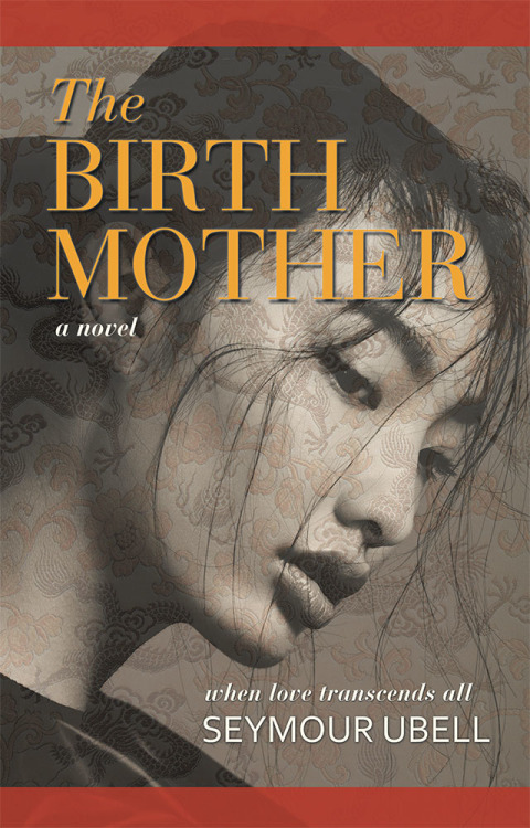 Cover image for book The Birth Mother