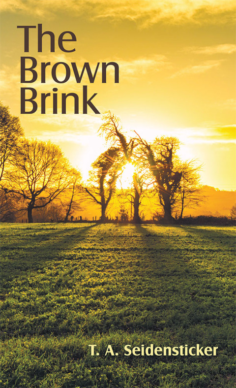 Cover image for book The Brown Brink