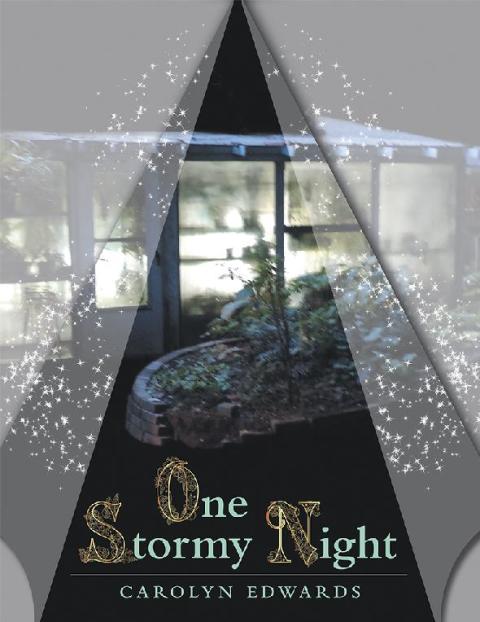 Cover image for book One Stormy Night