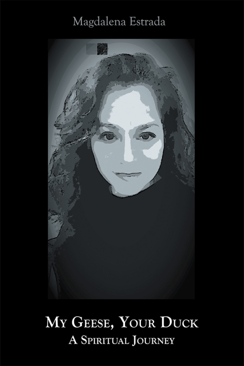 Cover image for book My Geese, Your Duck