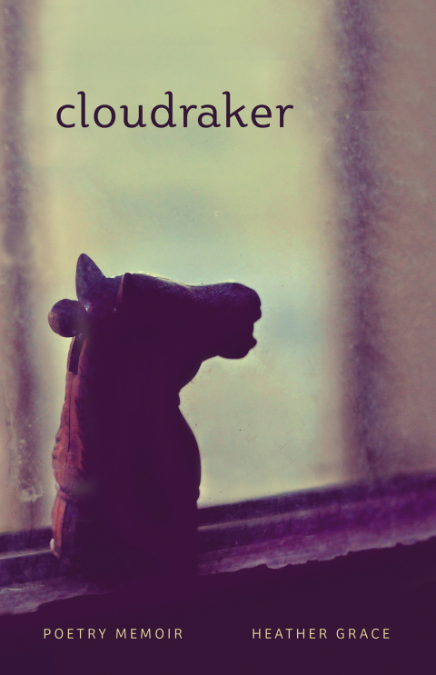 Cover image for book Cloudraker