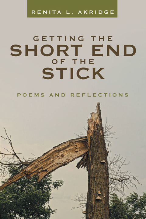 Cover image for book Getting the Short End of the Stick
