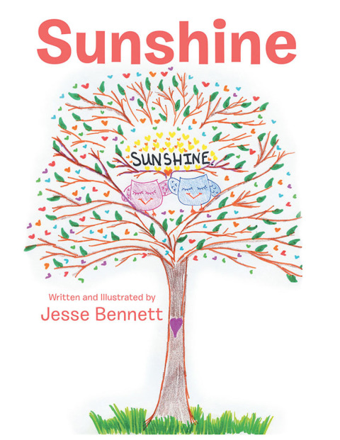 Cover image for book Sunshine