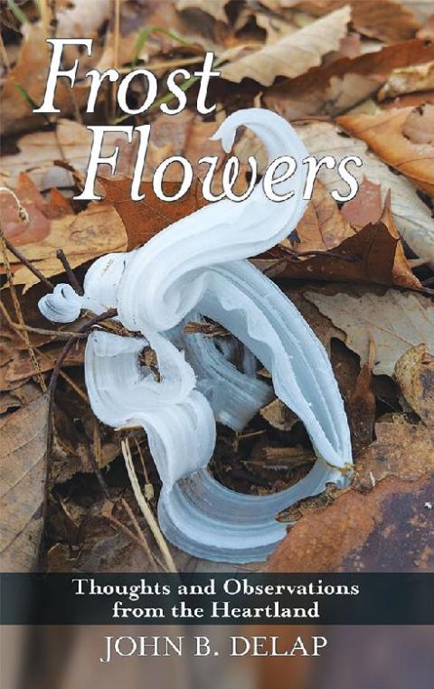 Cover image for book Frost Flowers