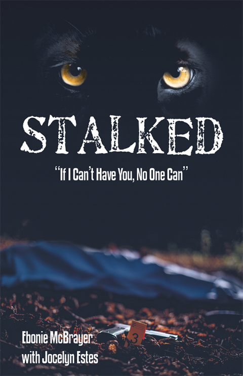 Cover image for book Stalked