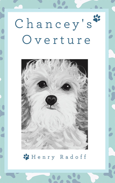 Cover image for book Chancey's Overture